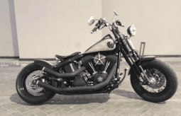 
										2008 Harley-Davidson Cross Bones 96 (FLSTSB) full									