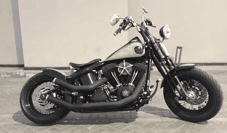 
								2008 Harley-Davidson Cross Bones 96 (FLSTSB) full									