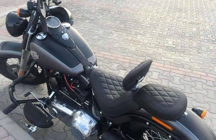 
								2017 Harley-Davidson Softail Slim (FLS) full									